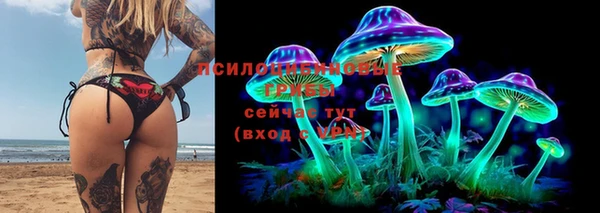 молекула духа Алексин