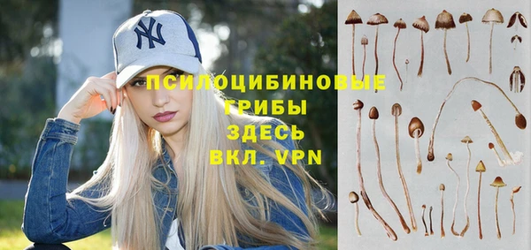 a pvp Абинск